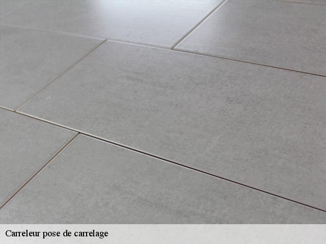 obtenez rapidement un devis pour vos travaux de carrelage &agrave; boissy. comparez les tarifs, choisissez un artisan qualifi&eacute; et r&eacute;alisez votre projet au meilleur prix.