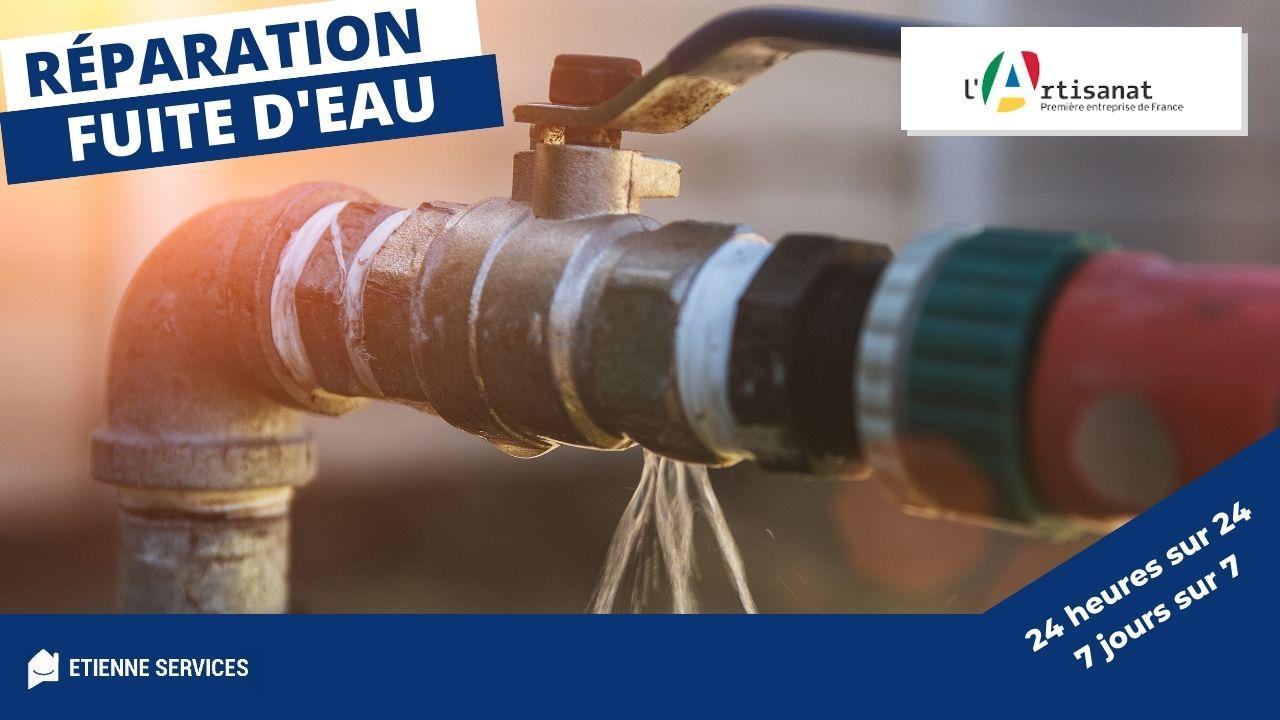 fuite d'eau &agrave; boissy-saint-l&eacute;ger ? faites appel &agrave; un plombier qualifi&eacute; pour une intervention rapide et efficace. d&eacute;tection et r&eacute;paration de fuites d'eau 24/7.