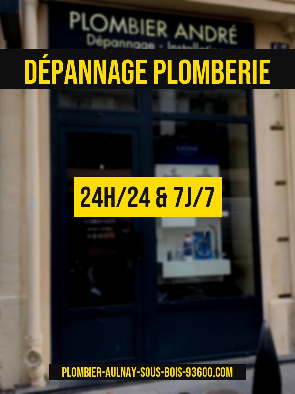 besoin d'une intervention rapide pour une urgence plomberie &agrave; boissy ? nos plombiers qualifi&eacute;s interviennent 7j/7 pour r&eacute;parer fuites, canalisations bouch&eacute;es et autres pannes. devis gratuit.
